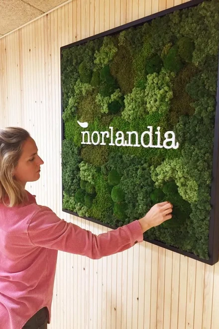Norlandia 1000x1000 moss logo