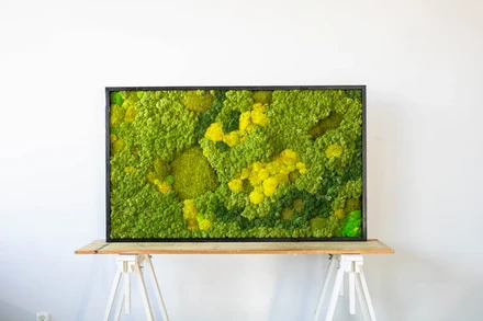 Sammaltaulu 120x80 spring green