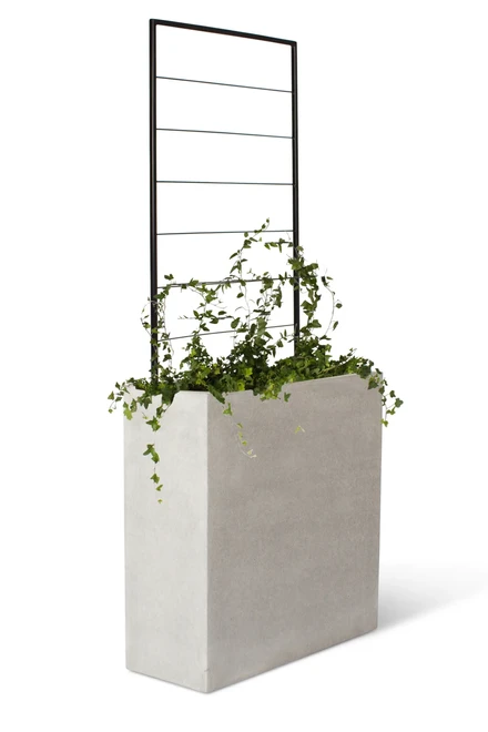 260804 STY W G trellis 1497
