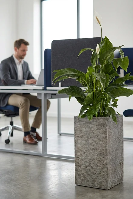 260804 craft cubico fossil grey spatiphyllum office ambient 2000 1497