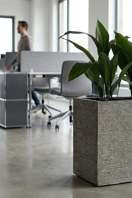 260804 craft divi fossil grey open space ambient 2000 1497
