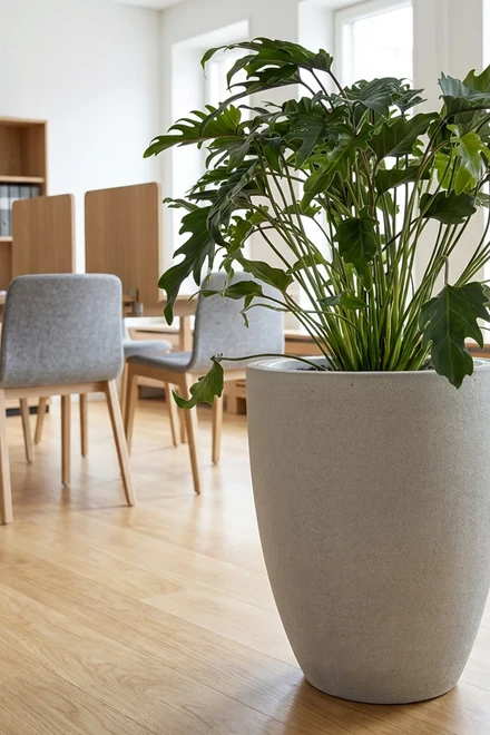260804 style vaso 1 grey philodendron xanadu office 2000 1497