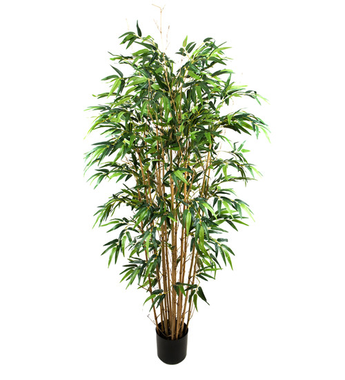 Bambu 180cm image