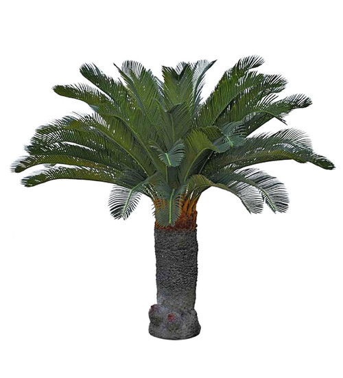 Cycas Palm 100cm image